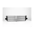 Intercooler, échangeur BSG BSG 60-535-013 - Visuel 1