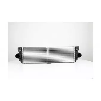 Intercooler, échangeur BSG BSG 60-535-013