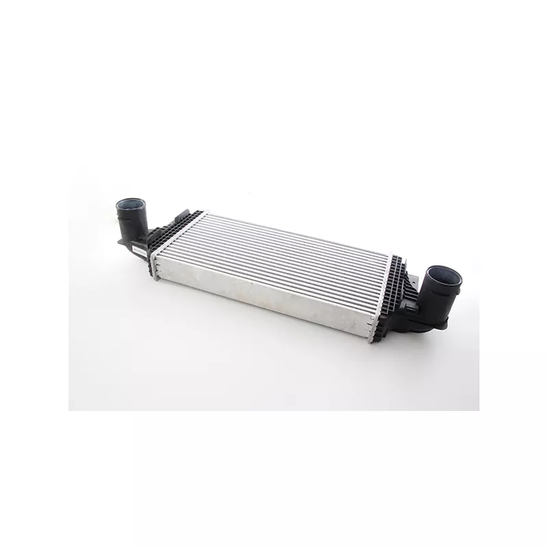 Intercooler, échangeur BSG BSG 60-535-023