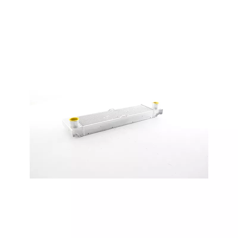 Intercooler, échangeur BSG BSG 60-535-026