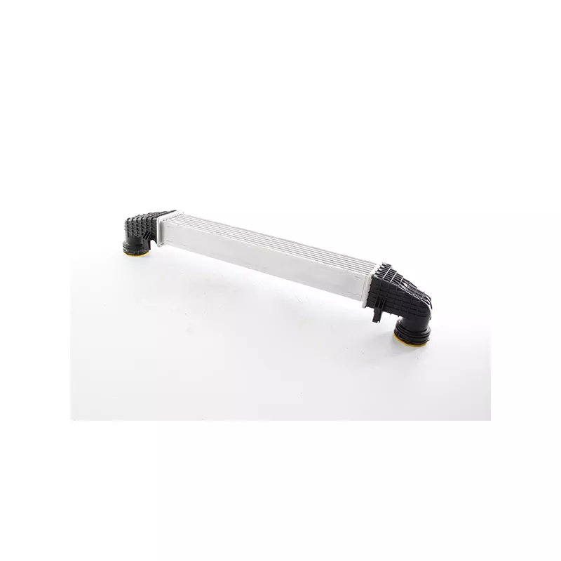 Intercooler, échangeur BSG BSG 60-535-027