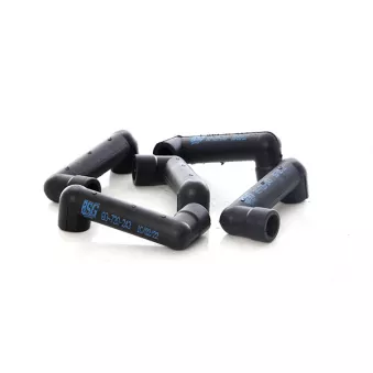 Tuyau, ventilation de carter-moteur BSG BSG 60-720-243