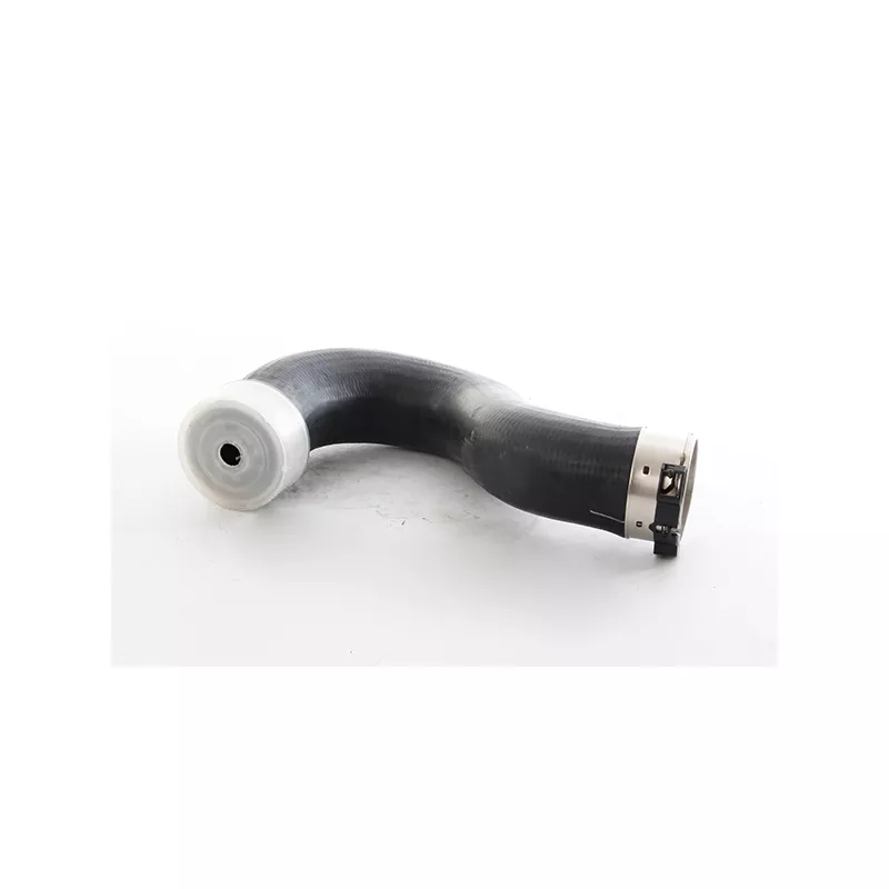 Gaine de suralimentation BSG BSG 60-720-263