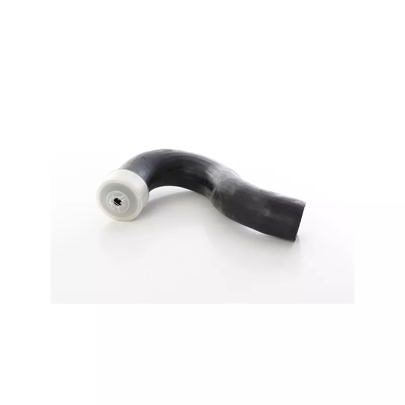 Gaine de suralimentation BSG BSG 60-720-264