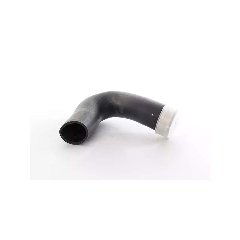 Gaine de suralimentation BSG BSG 60-720-265