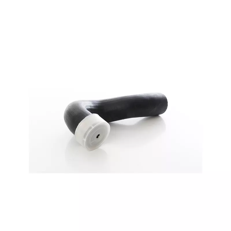 Gaine de suralimentation BSG BSG 60-720-279