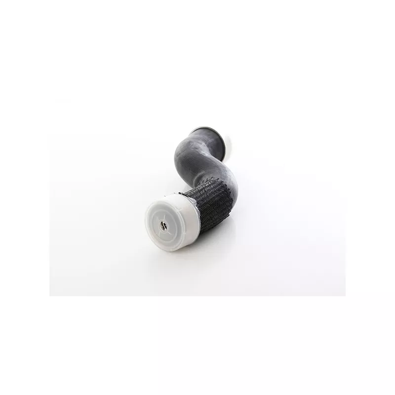 Gaine de suralimentation BSG BSG 60-720-333
