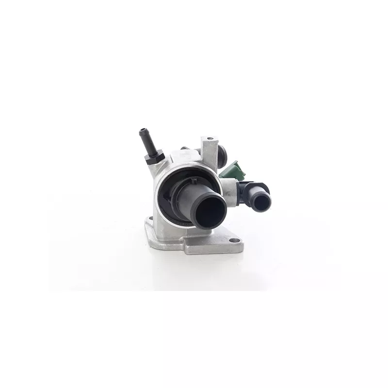 Thermostat d'eau BSG BSG 65-125-023
