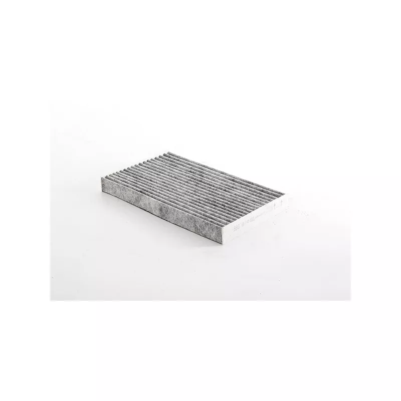 Filtre, air de l'habitacle BSG BSG 65-145-020
