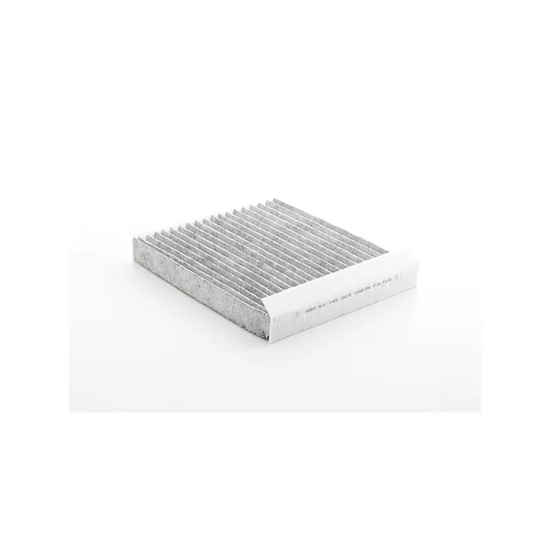 Filtre, air de l'habitacle BSG BSG 65-145-025