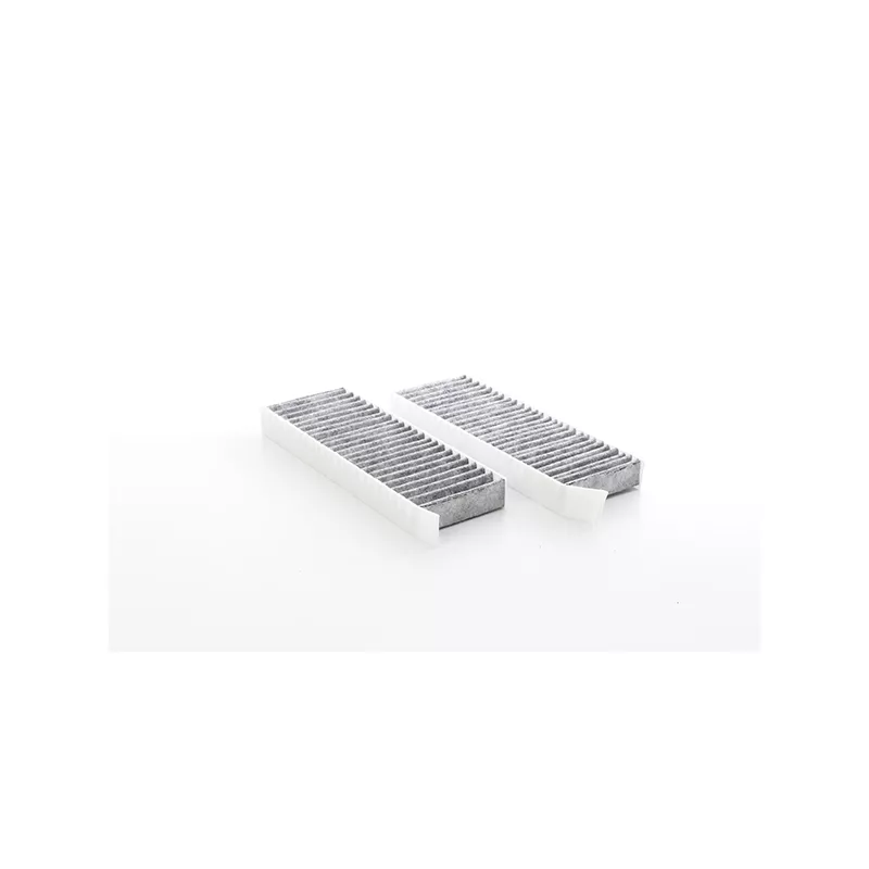 Filtre, air de l'habitacle BSG BSG 65-145-026