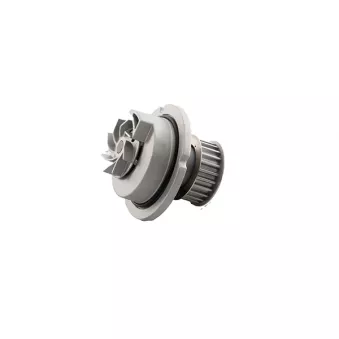 Pompe à eau BSG BSG 65-500-017
