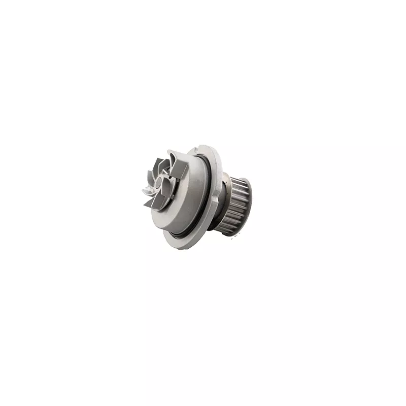 Pompe à eau BSG BSG 65-500-017