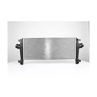 Intercooler, échangeur BSG BSG 65-535-005