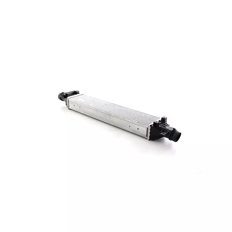 Intercooler, échangeur BSG BSG 65-535-022