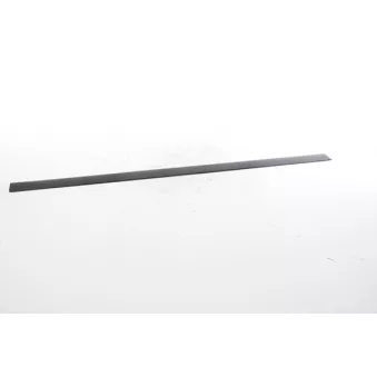 Baguette et bande protectrice, porte avant droit BSG BSG 65-925-031