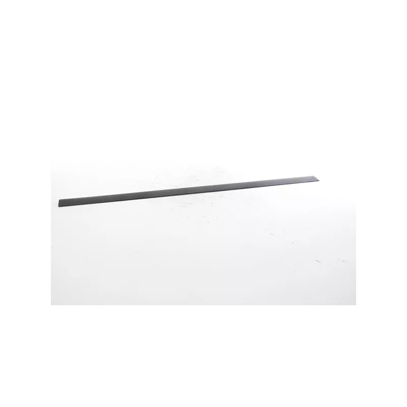 Baguette et bande protectrice, porte avant droit BSG BSG 65-925-031
