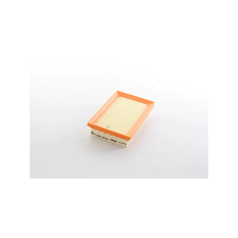 Filtre à air BSG BSG 70-135-040
