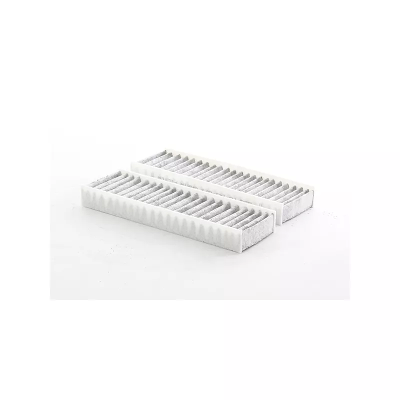 Filtre, air de l'habitacle BSG BSG 70-145-025