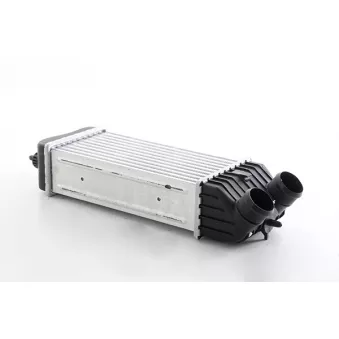 Intercooler, échangeur BSG BSG 70-535-010