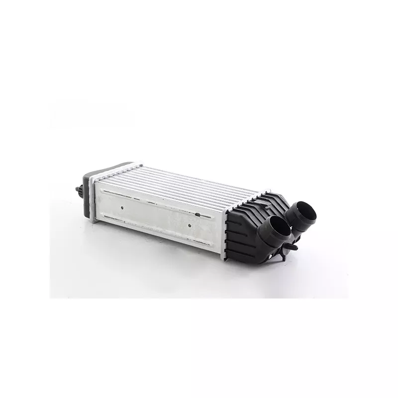 Intercooler, échangeur BSG BSG 70-535-010
