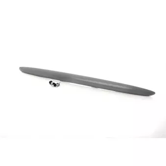 Enjoliveur, hayon BSG