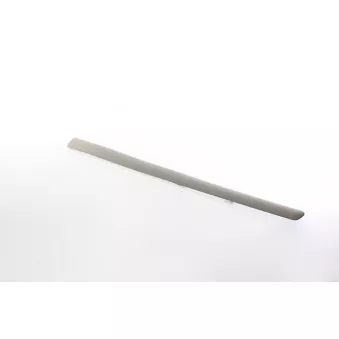 Baguette et bande protectrice, porte avant droit BSG BSG 70-925-009