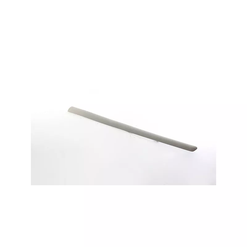 Baguette et bande protectrice, porte avant droit BSG BSG 70-925-009
