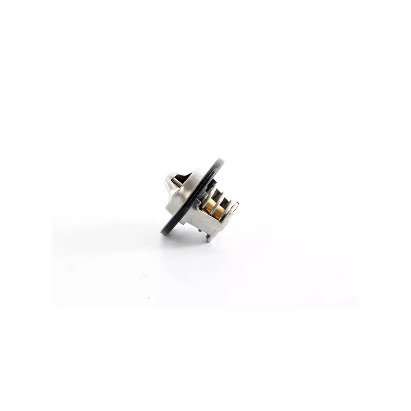 Thermostat, liquide de refroidissement BSG BSG 75-126-007