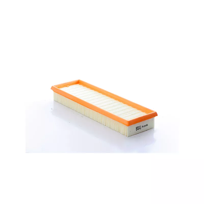 Filtre à air BSG BSG 75-135-015