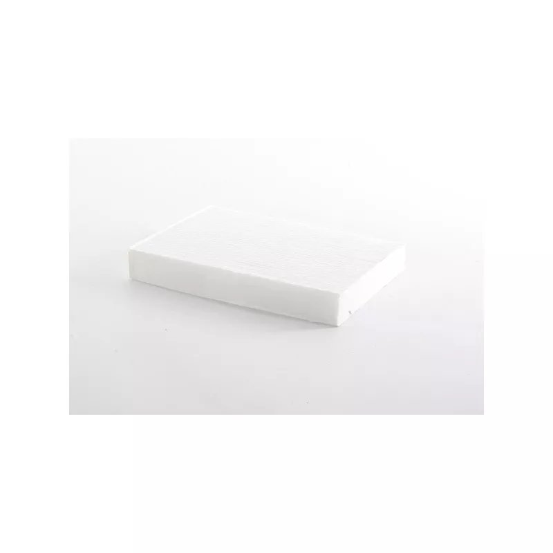 Filtre, air de l'habitacle BSG BSG 75-145-016