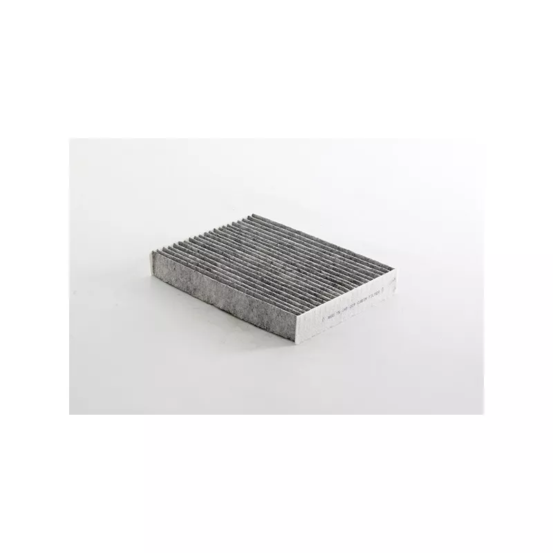 Filtre, air de l'habitacle BSG BSG 75-145-019