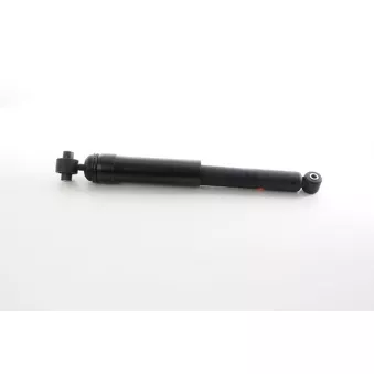 Jeu de 2 amortisseurs arrière BSG BSG 75-300-024