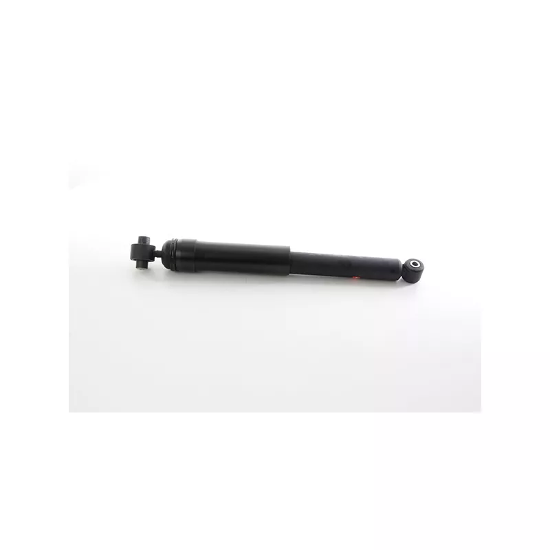 Jeu de 2 amortisseurs arrière BSG BSG 75-300-024