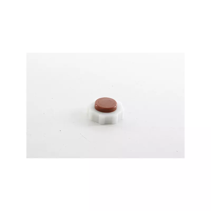 Bouchon, réservoir de liquide de refroidissement BSG BSG 75-551-002