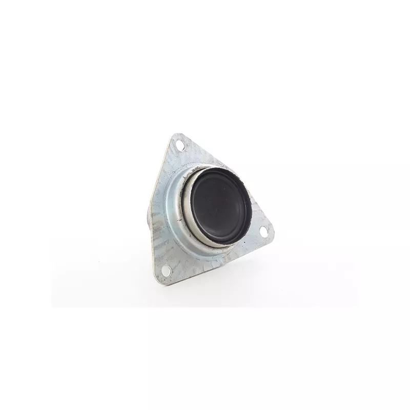 Support moteur BSG BSG 75-700-077