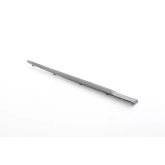 Baguette et bande protectrice, porte arrière droit BSG BSG 75-924-005
