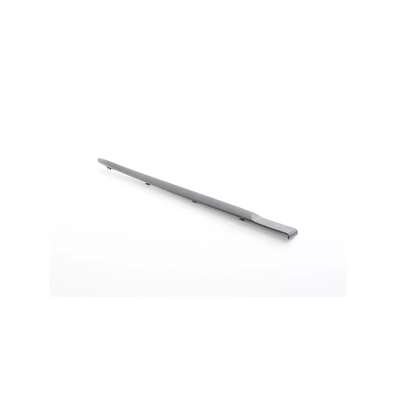 Baguette et bande protectrice, porte arrière droit BSG BSG 75-924-005