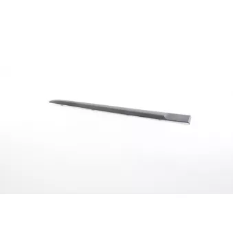 Baguette et bande protectrice, porte arrière gauche BSG BSG 75-924-009