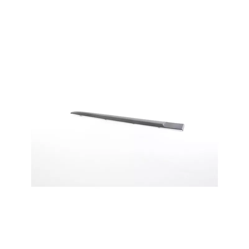 Baguette et bande protectrice, porte arrière gauche BSG BSG 75-924-009