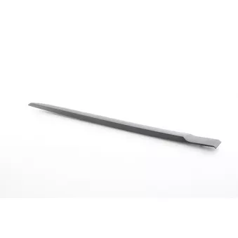 Baguette et bande protectrice, porte arrière gauche BSG BSG 75-924-010