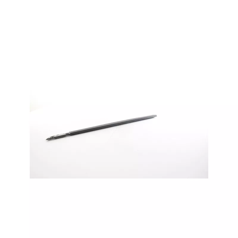 Baguette et bande protectrice, porte avant droit BSG BSG 75-924-014