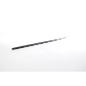 Baguette et bande protectrice, porte avant droit BSG BSG 75-924-015
