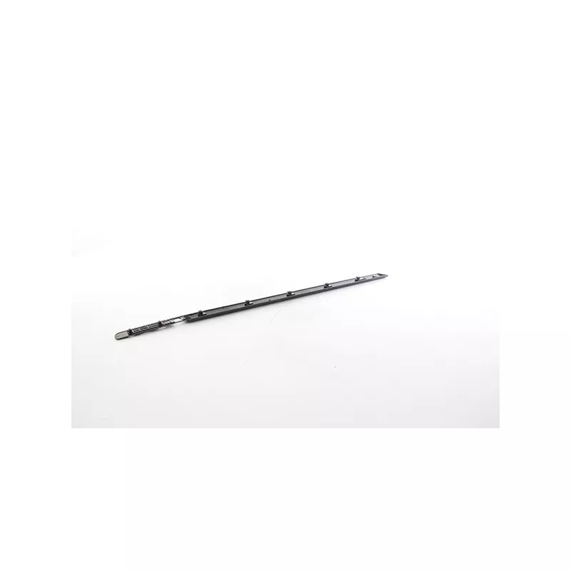 Baguette et bande protectrice, porte avant gauche BSG BSG 75-924-017