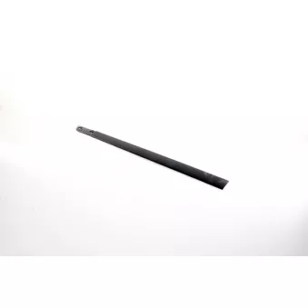 Baguette et bande protectrice, porte avant gauche BSG BSG 75-924-018