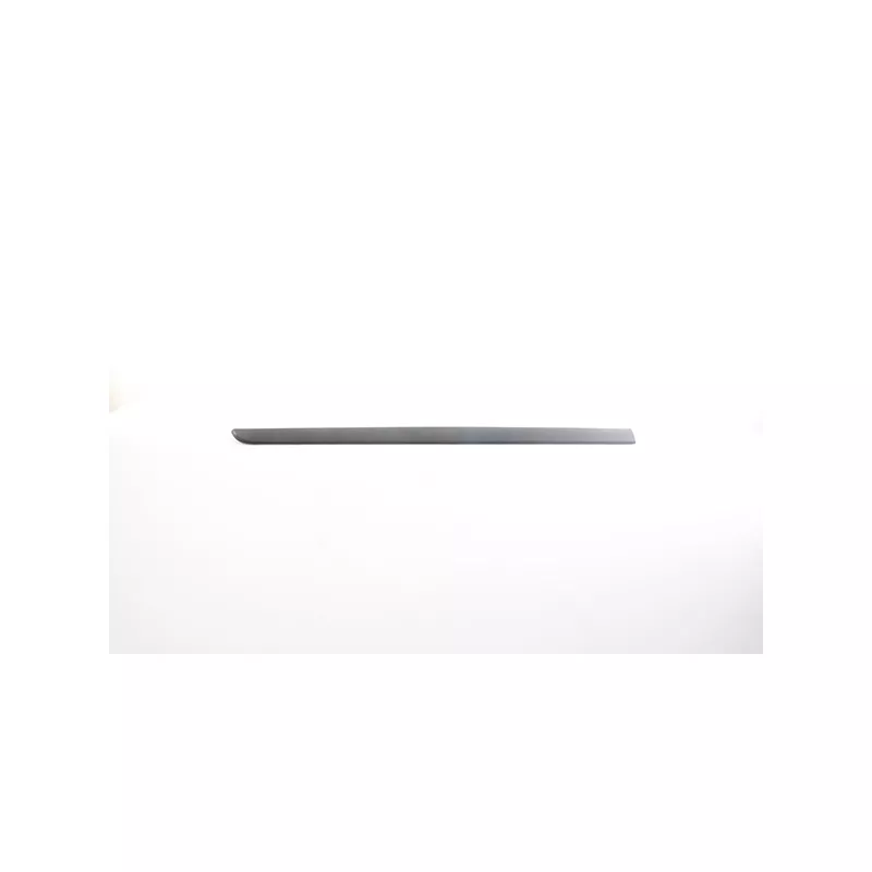 Baguette et bande protectrice, porte avant gauche BSG BSG 75-924-019
