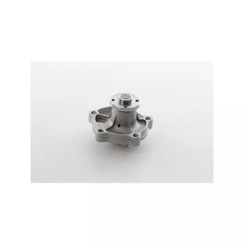 Pompe à eau BSG BSG 83-500-002