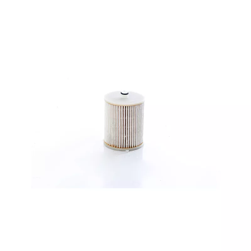 Filtre à carburant BSG BSG 85-130-007