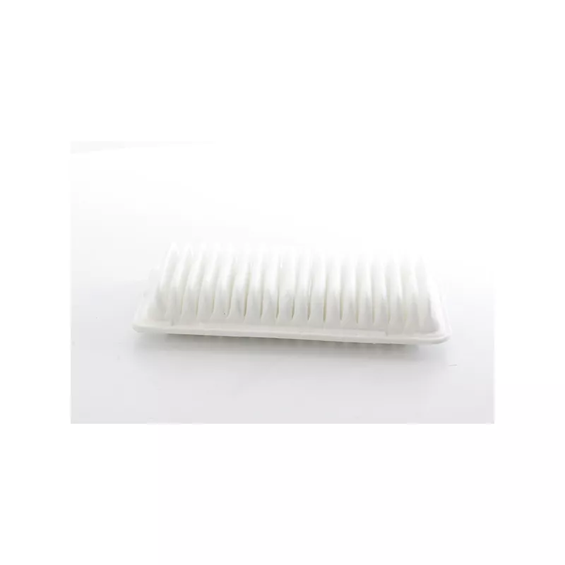 Filtre à air BSG BSG 85-135-007
