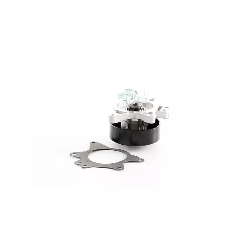 Pompe à eau, refroidissement du moteur BSG BSG 85-500-002